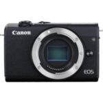 The 16 Best Canon R Alternative Cameras (2022)